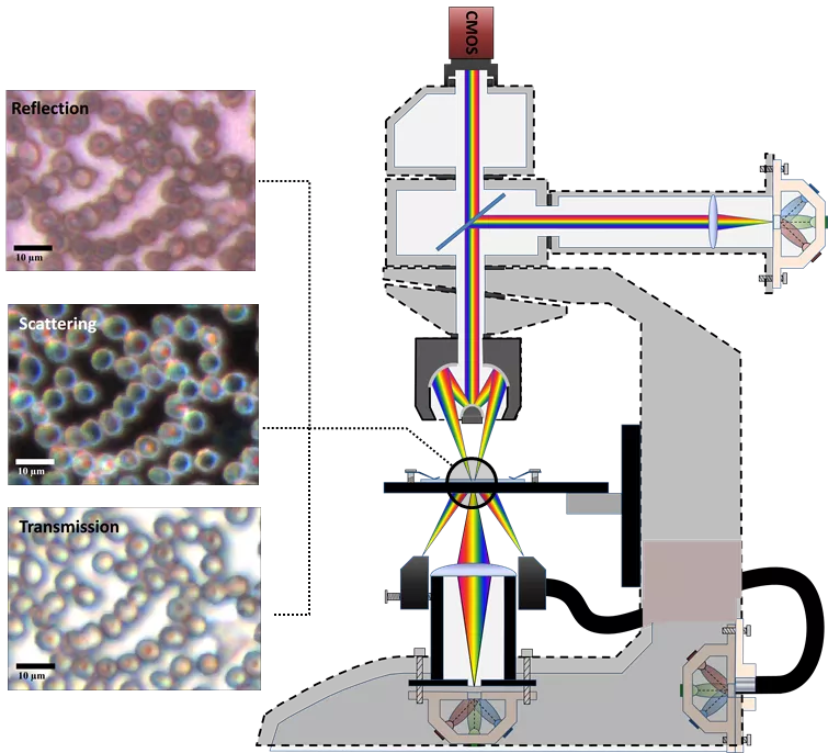 Multispectral microscopy setup. Illustration.